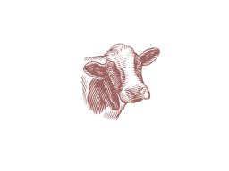 cow 3